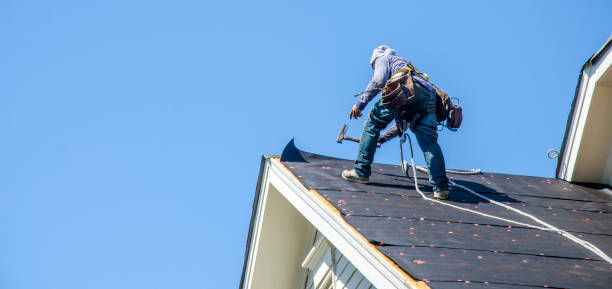 Best Roof Gutter Cleaning  in San Antonio, FL